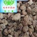 山慈姑 毛慈菇 大统 无硫货 包含量 产地 云南省玉溪市